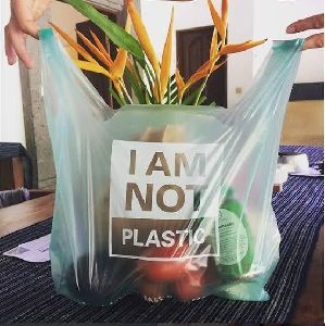 compostable carry bag