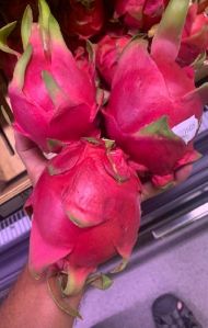 Jambo Red Dragon Fruit weight 500 to 850 gram per Fruit