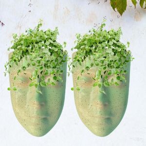 wall planters