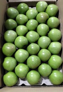 Green Apple