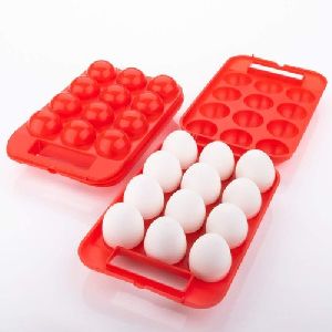 plastic egg tray