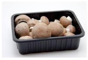 mushroom tray