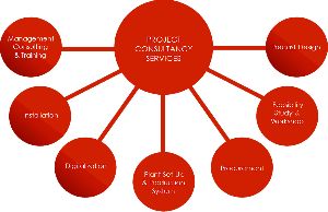 Project Consultancy Services