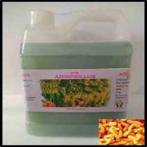 ROM Azospirillum Liquid Biofertilizer