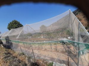 Trellis support system