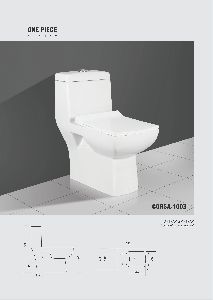 Plain One Piece Toilet