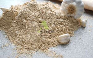 Dehydrated Garlic Powder