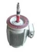 Cooling Tower Motor