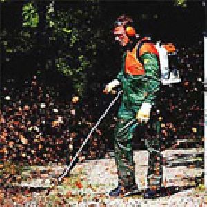 STIHL BR 420 Petrol Blower