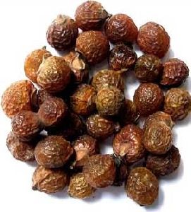 Soap  Nuts