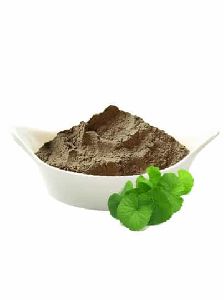 Brahmi Powder