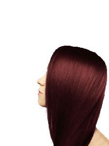 Chestnut Hair Color