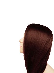 Dark Brown Hair Color