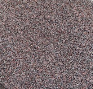 Black Mustard Seeds