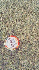 Fennel Seeds