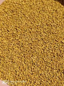 Fenugreek Seed