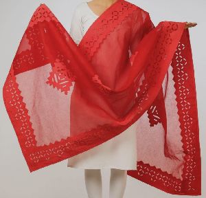 Applique Dupatta Barmeri