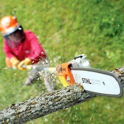 pole pruner