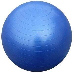 55cm Gym Ball