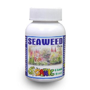 seaweed organic fertilizer