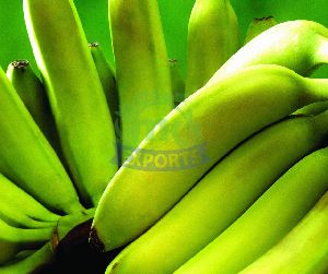 Fresh Raw Banana