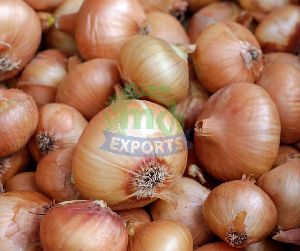 White Onion