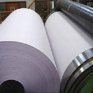 Poly Coated Glassine Paper