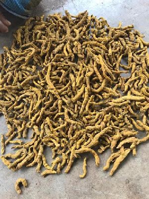 Natural Turmeric Finger