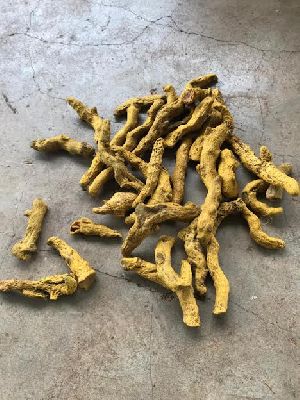 Natural Turmeric Finger