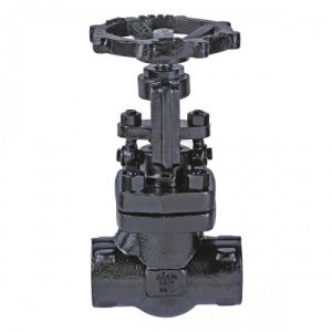 F.C.S. (A105) Needle Valve (Regulating Valve), Class-800