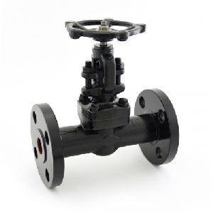 F.C.S. Globe Valve, Flanged Ends, Class-600