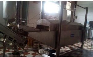 potato chips making machine