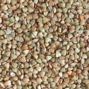 Golden 30 BANSHI PREMIUM WHEAT