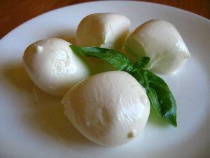 bocconcini cheese