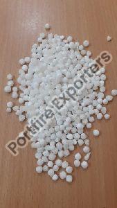 Sago Seeds