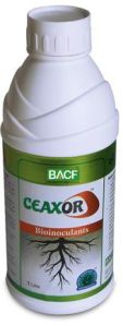 Ceaxor Bioinoculant