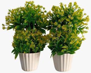 Artificial Plant Bonsai full of Leaves with buds (Set Of 2)