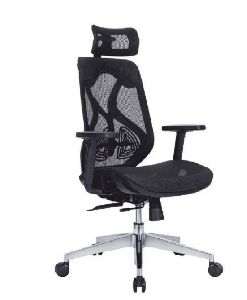 Ergon Mesh Black Executive Office Chair