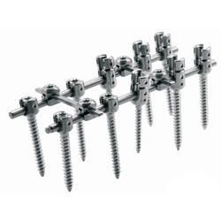 polyaxial screw