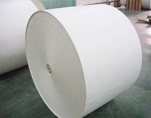 PE Coated Paper Rolls