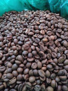 Robusta Parchement Roasted coffee beans