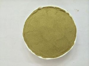 Coriander Leaf powder