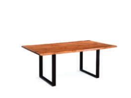 30x72x42 Inch Wooden Dining Table