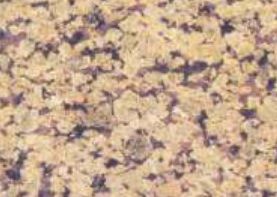 Rainwara Yellow Granite Slab