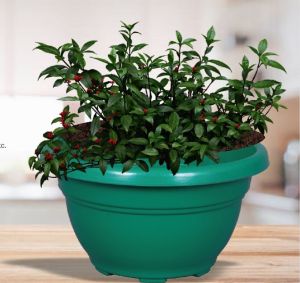 Donga Plastic Planter