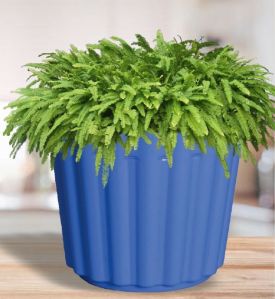 Slofy Plastic Pot