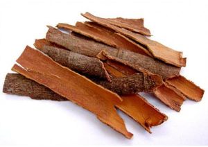 Cinnamon Bark