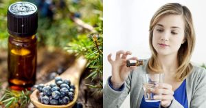 Juniper Berry Essential Oil