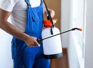 lizard pest control services