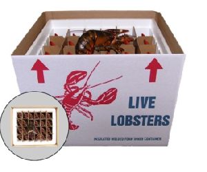 Sea Food Packaging Boxes